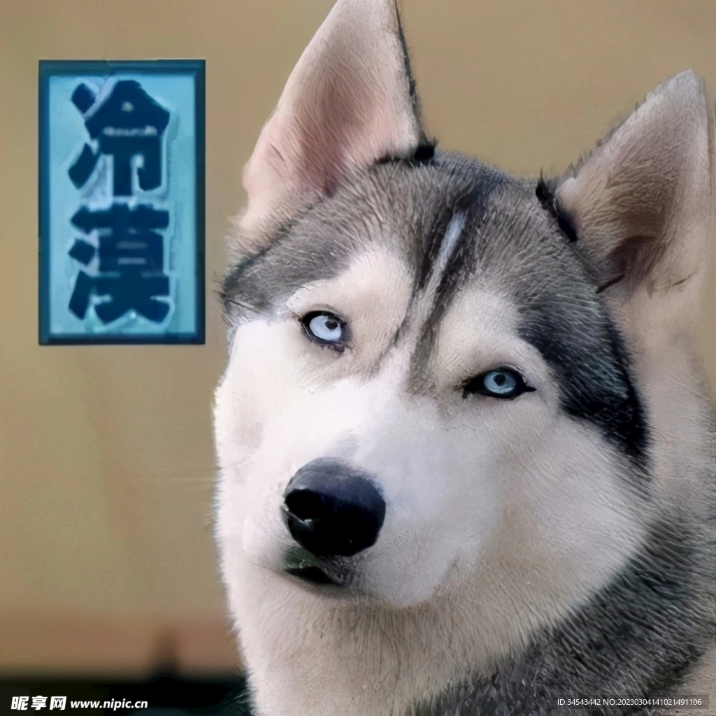 狗