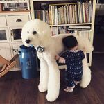 狗