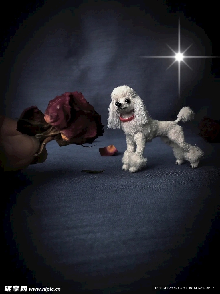 狗