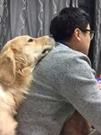 狗