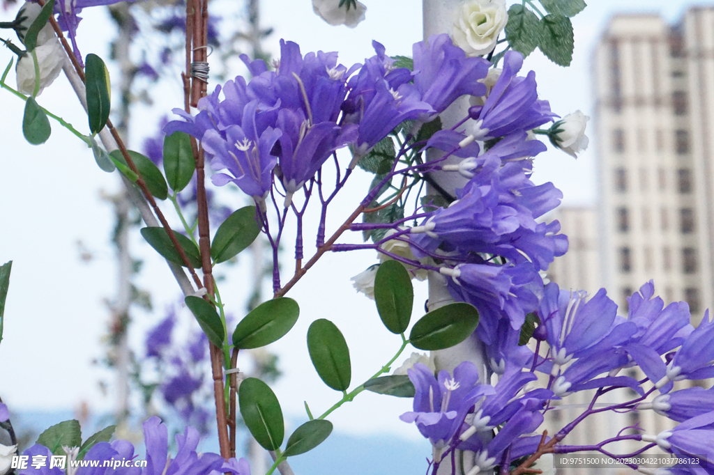 紫色假花