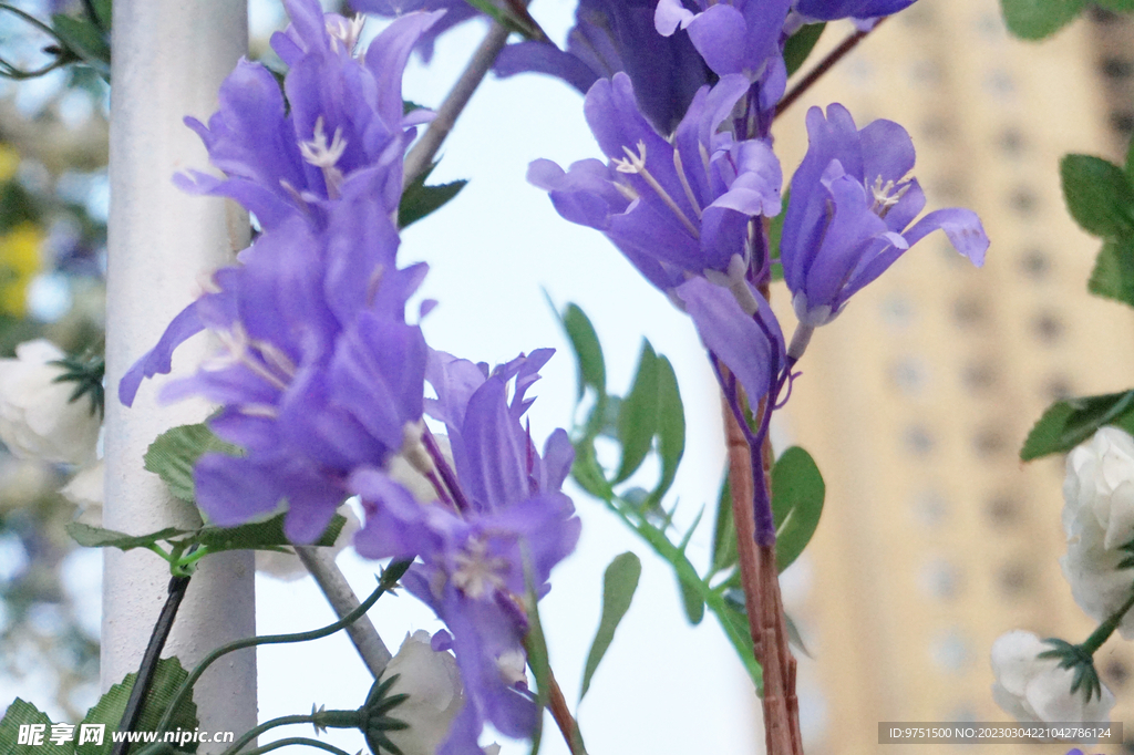 假紫色花