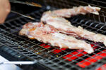 羊尾尖  肉 草原