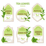 茶叶绿色标签