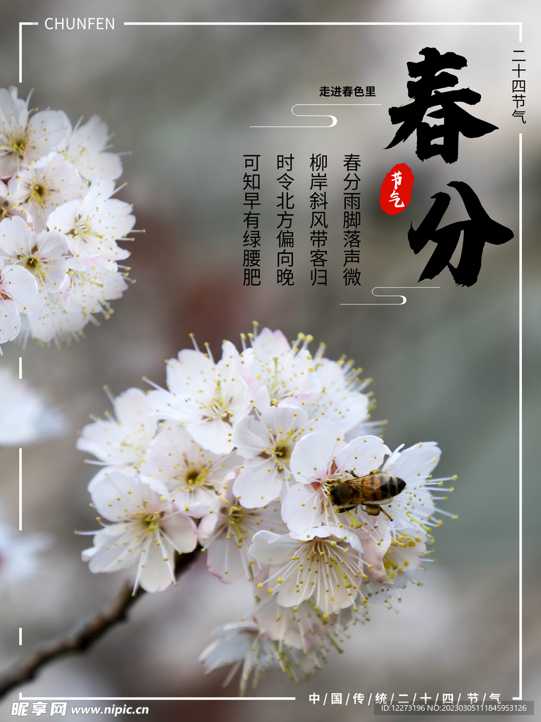 春分海报           