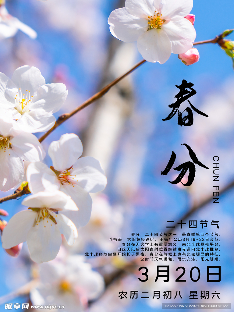 春分海报           