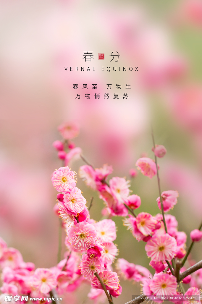春分海报           