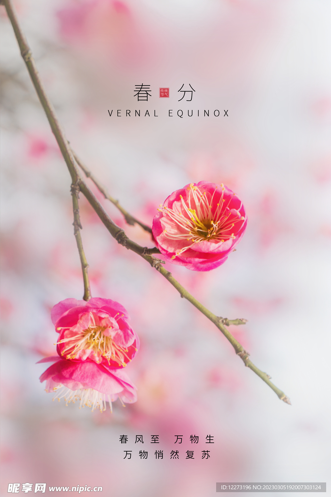 春分海报           