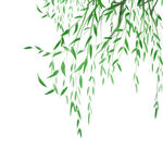 清明节素材          