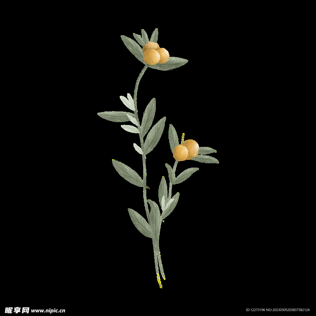 清明节素材          
