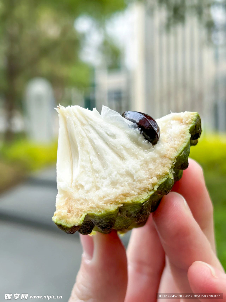 释迦果