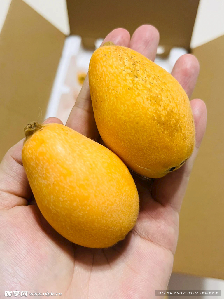 枇杷