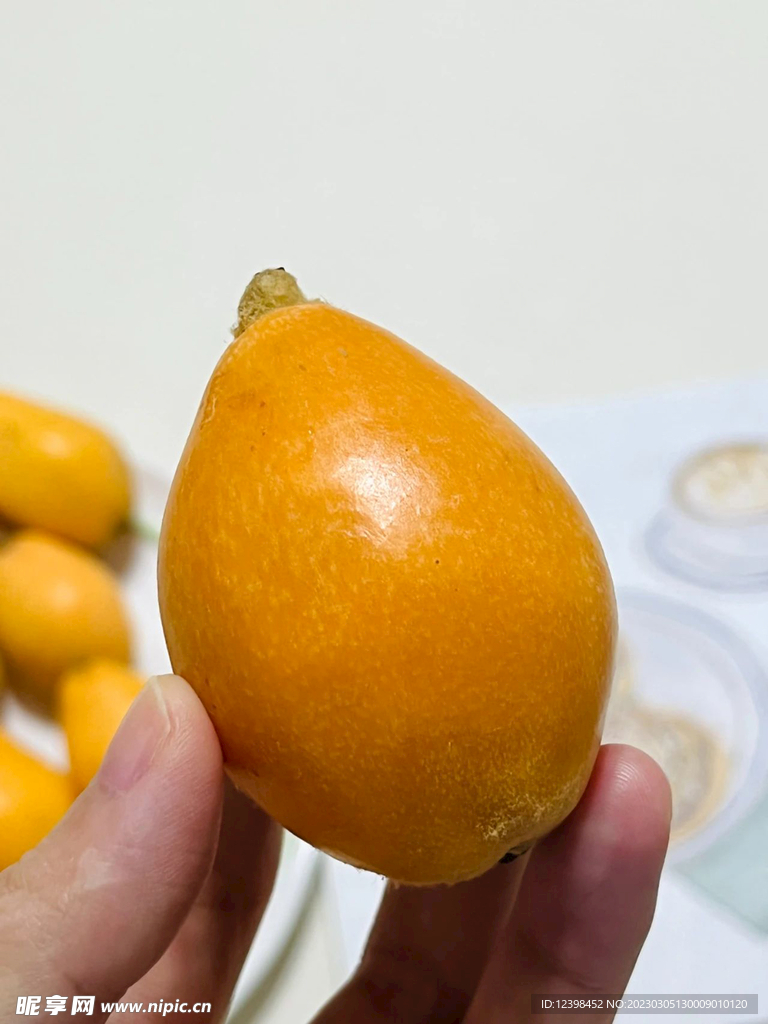 枇杷
