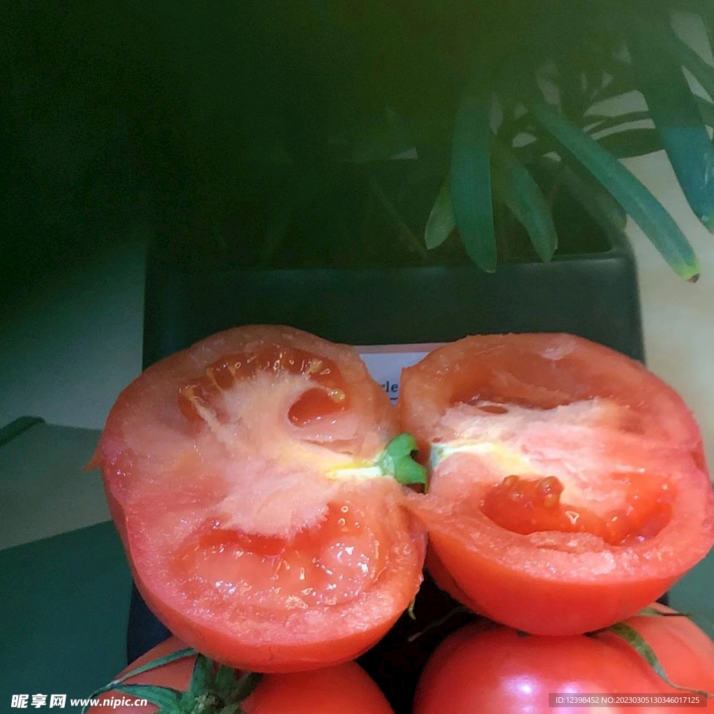 番茄