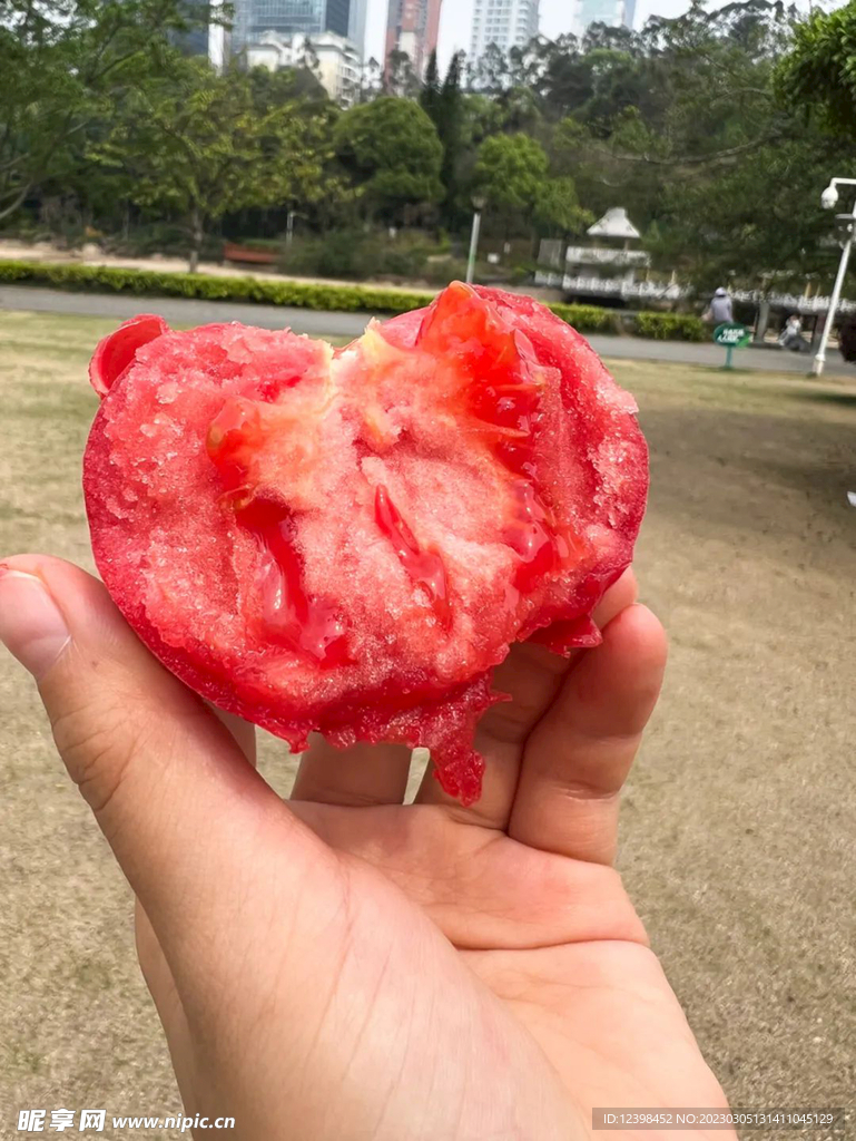 番茄
