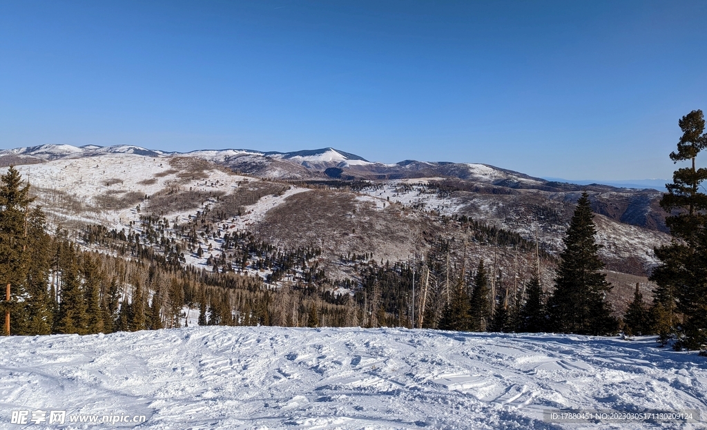 山林