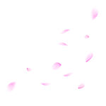 花瓣