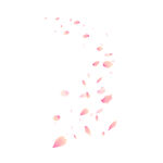 花瓣
