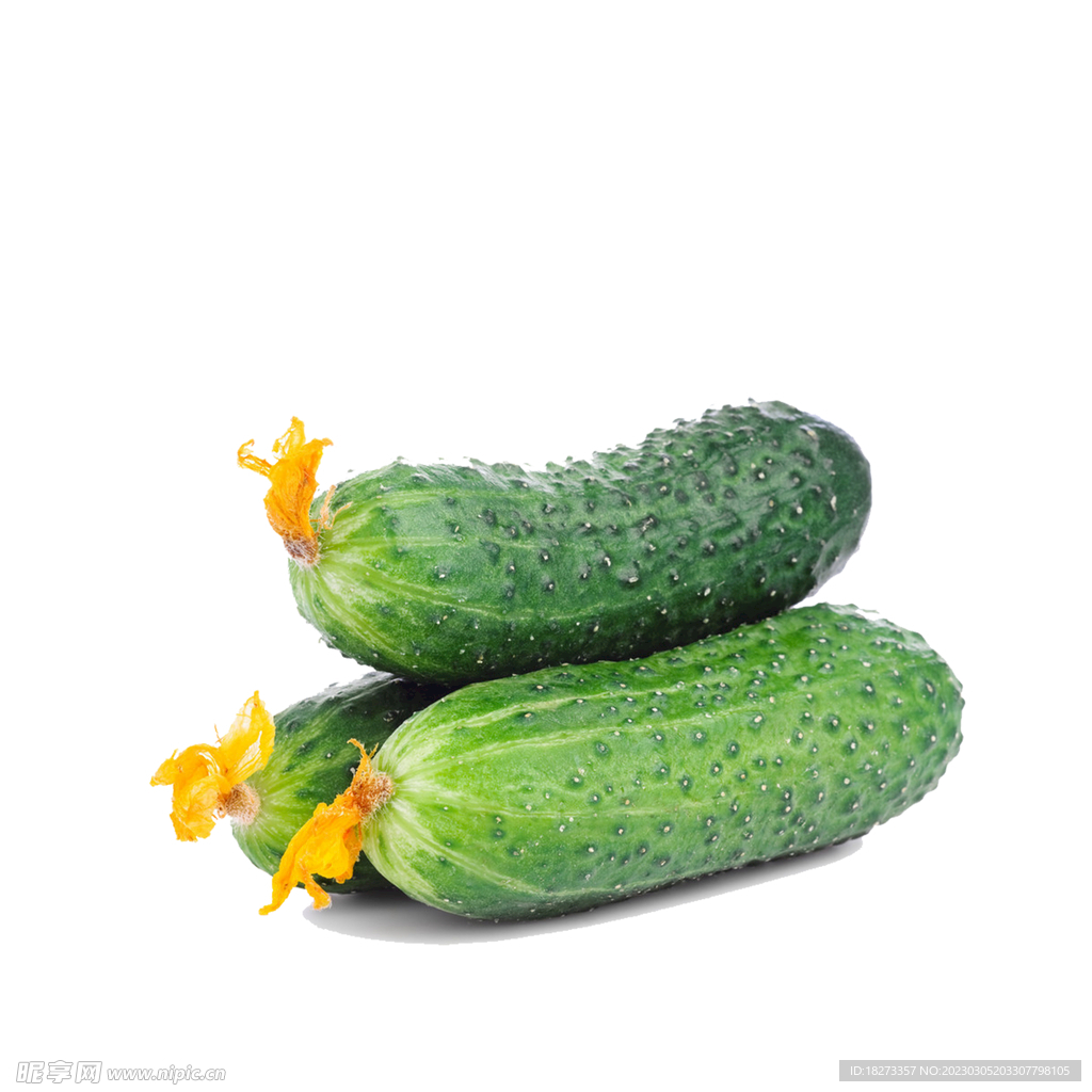 黄瓜