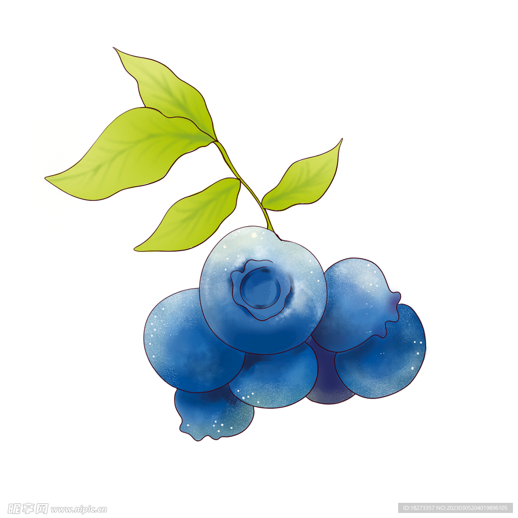 蓝莓
