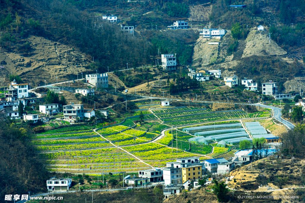 金海村种植场