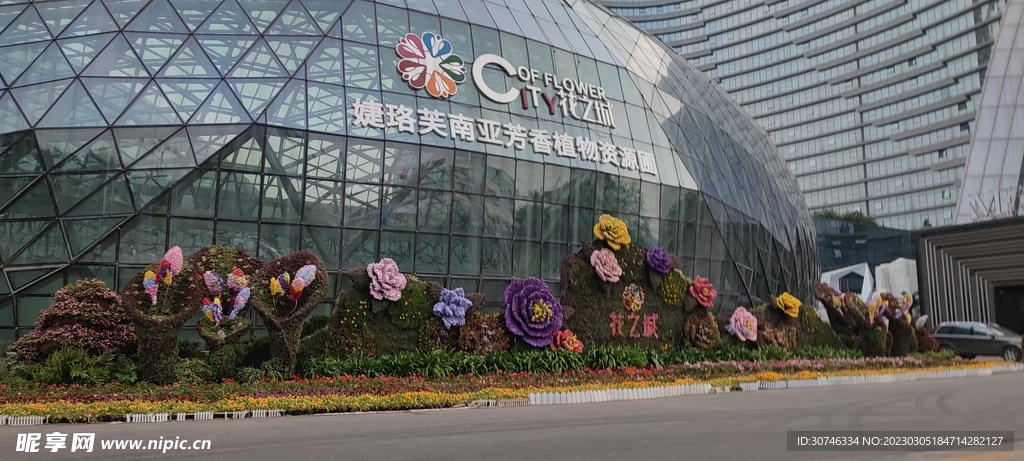 花之城
