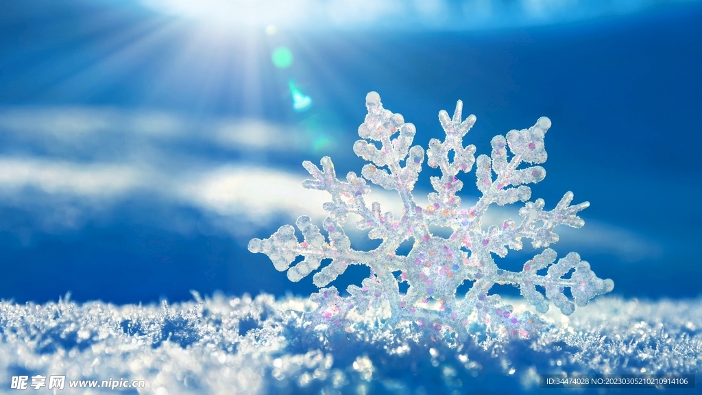 天空下的雪花