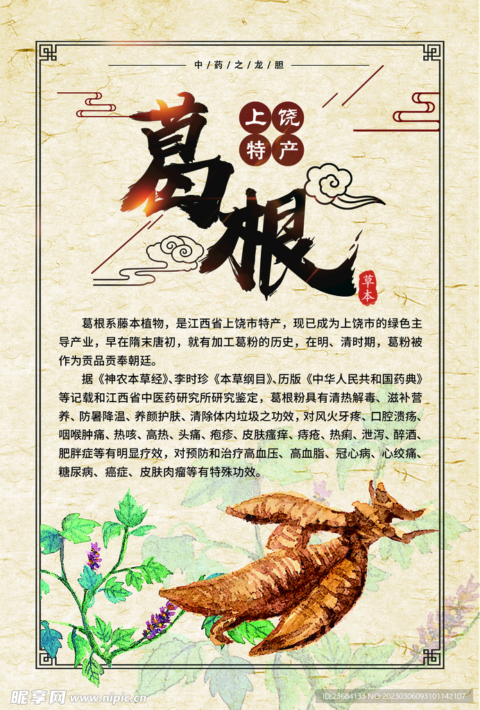 葛根展板