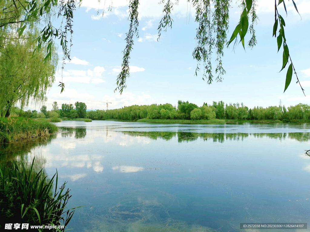 北京长沟湿地公园