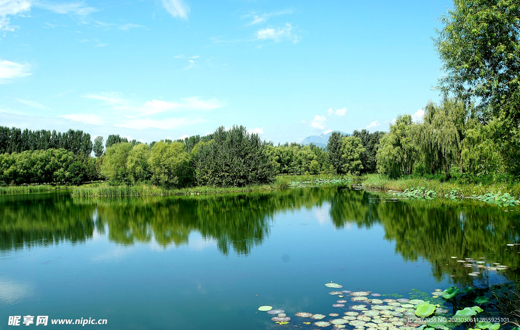 北京长沟湿地公园
