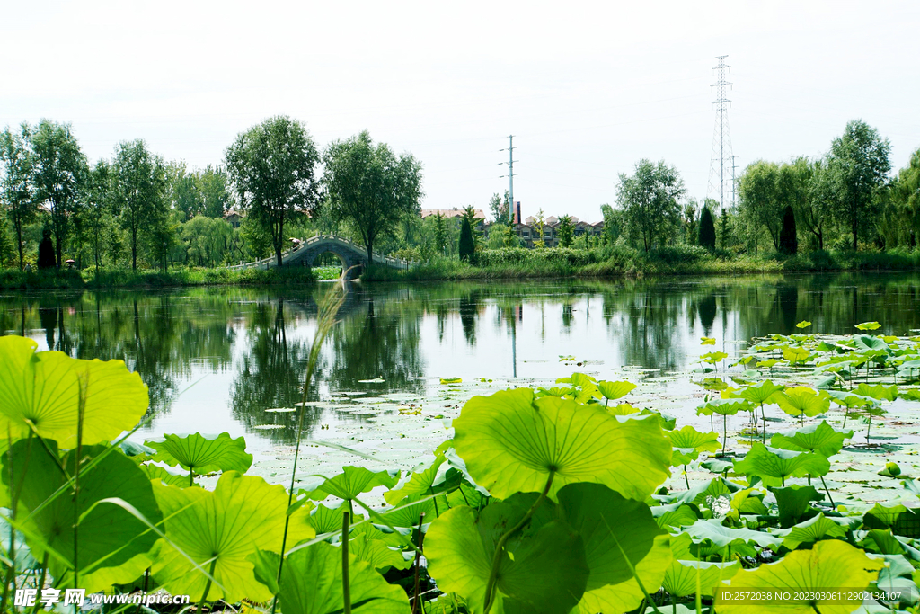 北京长沟湿地公园