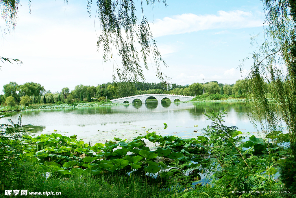 北京长沟湿地公园
