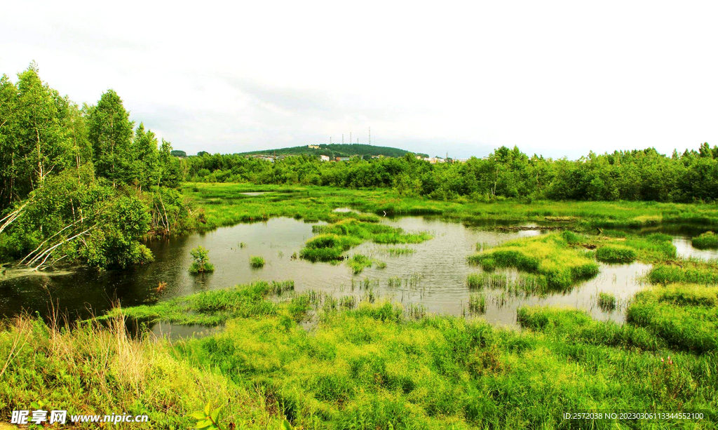 黑龙江伊春乌伊岭湿地公园