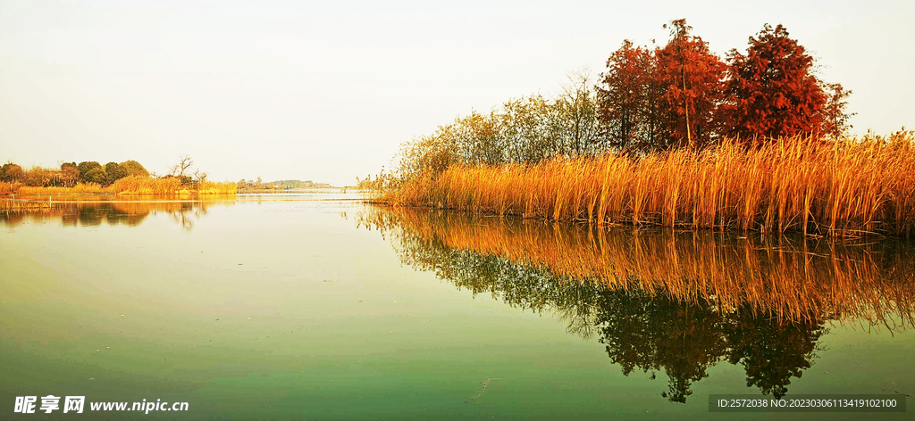 江苏无锡贡湖湾湿地公园