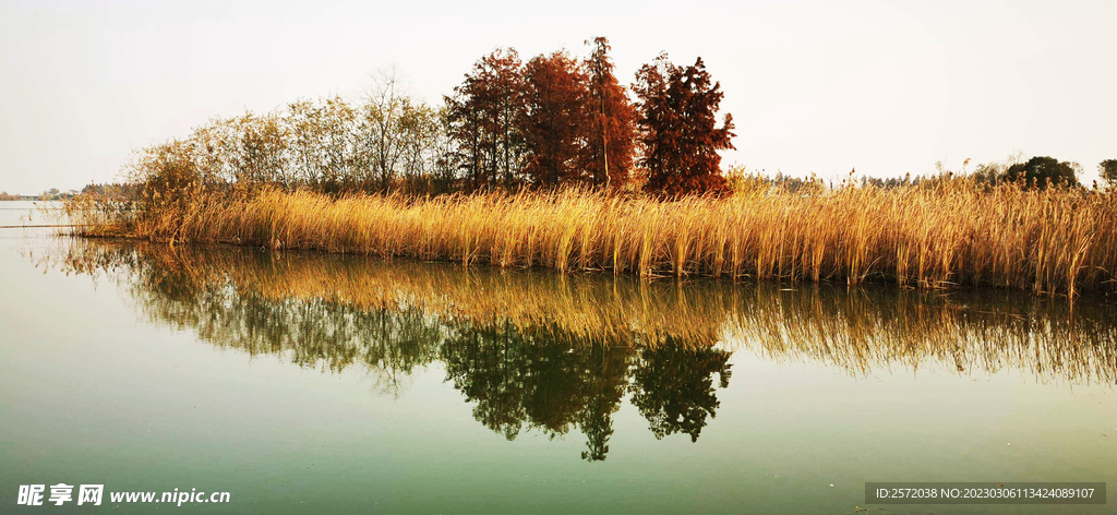 江苏无锡贡湖湾湿地公园