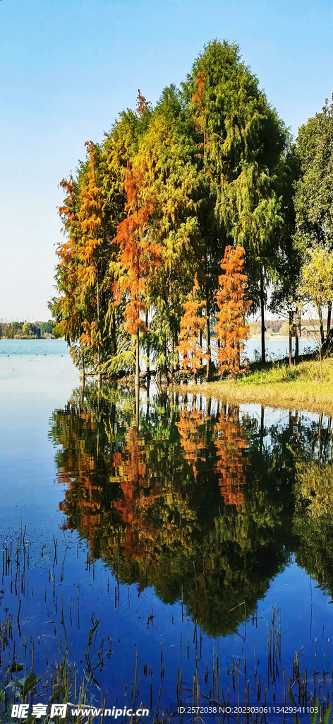 江苏无锡贡湖湾湿地公园