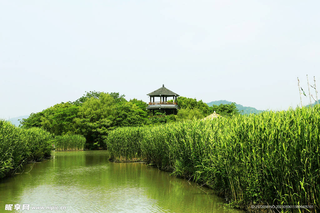 浙江下渚湖国家湿地公园