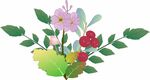 春季花草插画