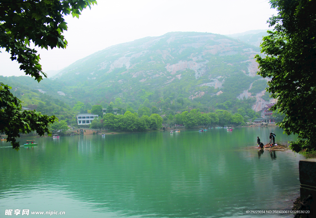 风景   水    树叶   