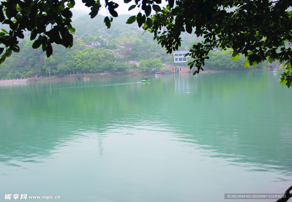 风景   水    树叶   