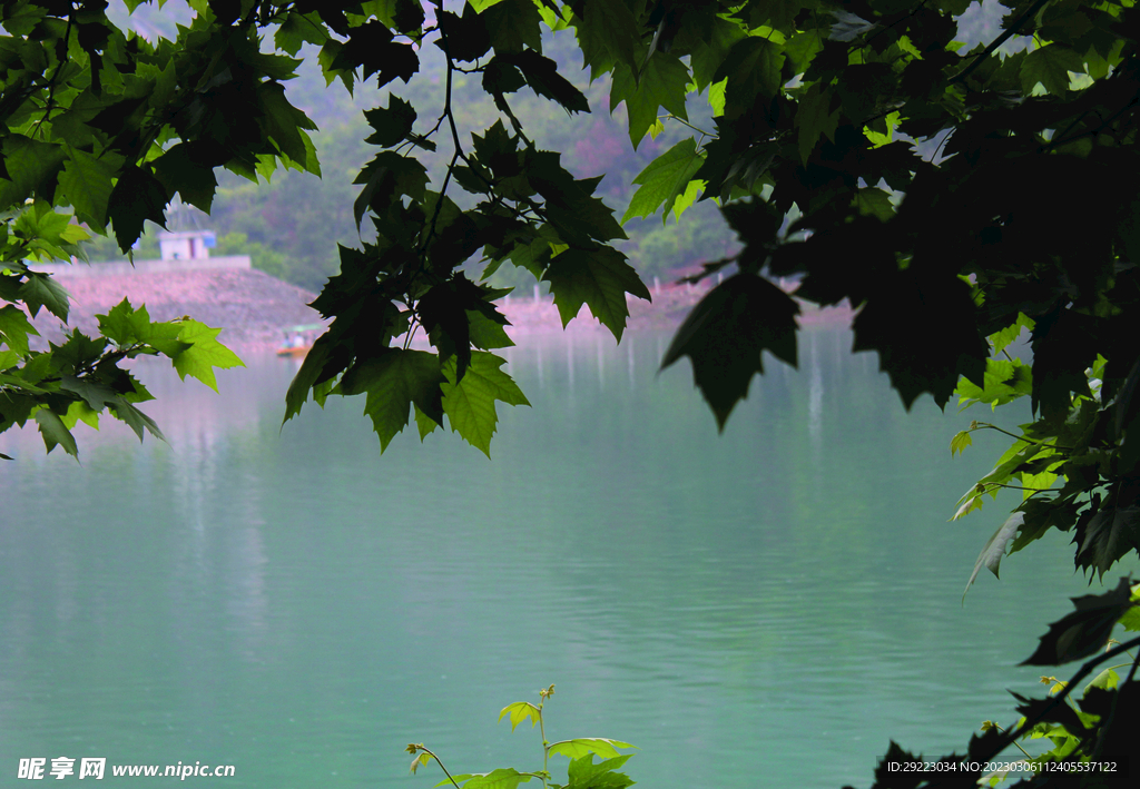 风景   水    树    