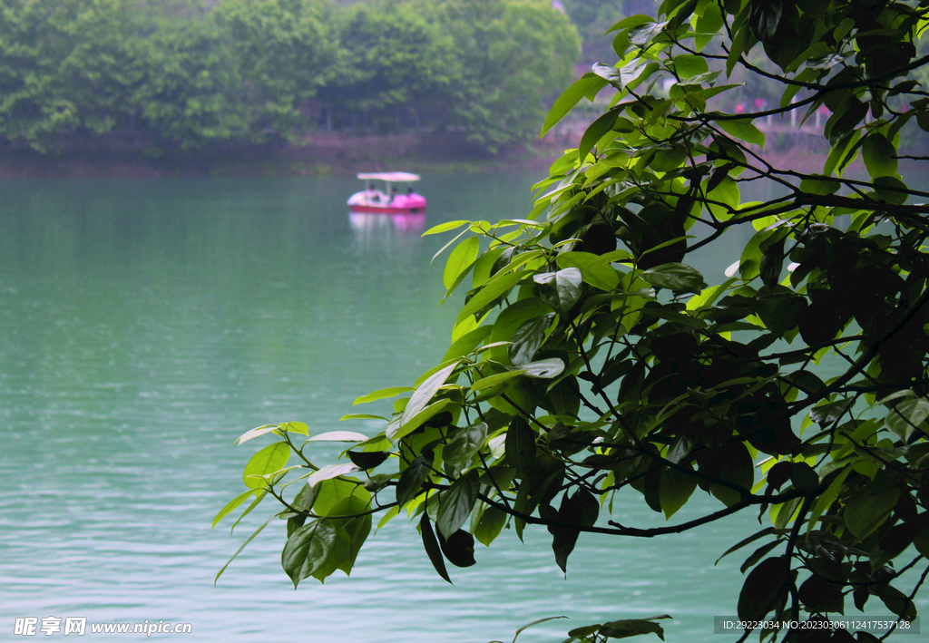 风景   水    树    