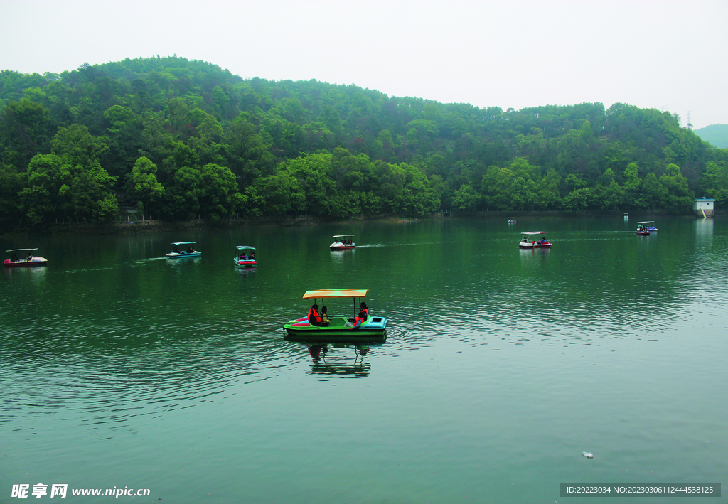 风景   水    树    
