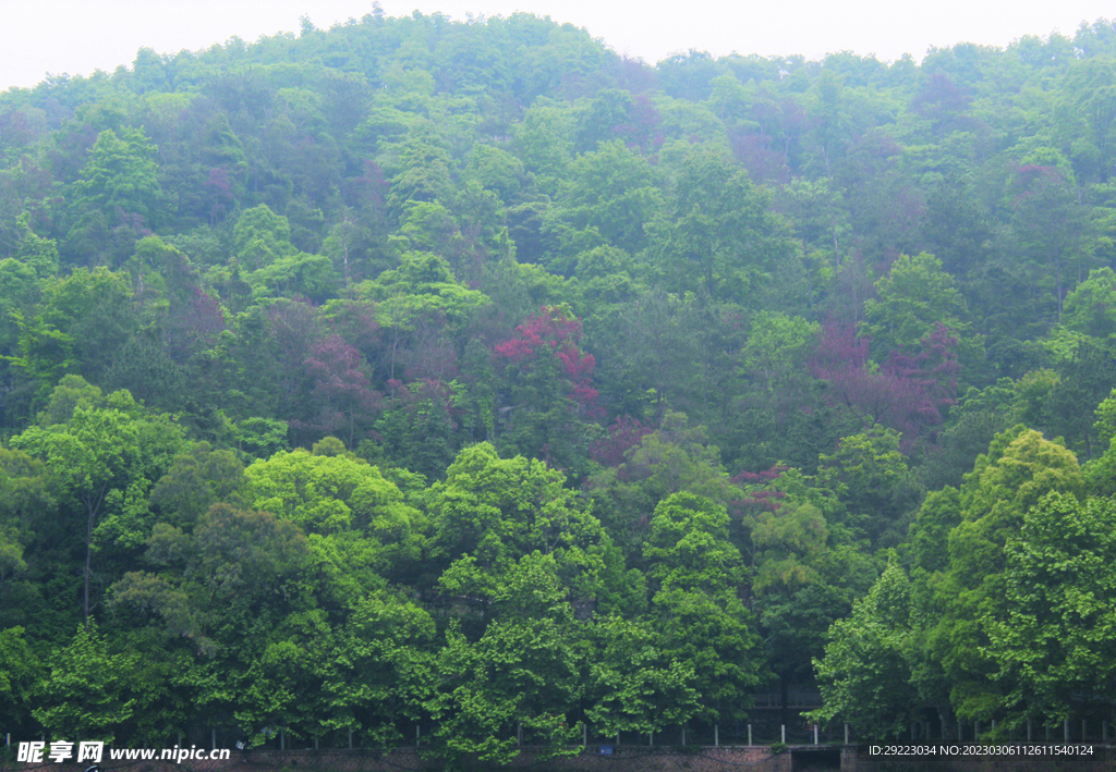 山   风景