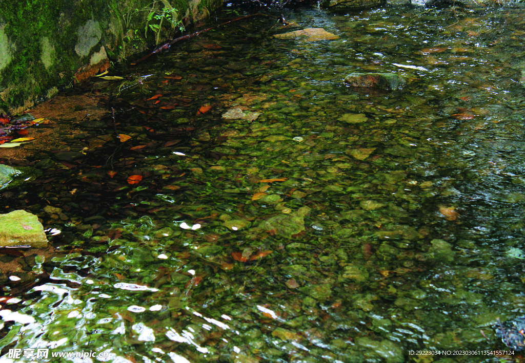 风景   水