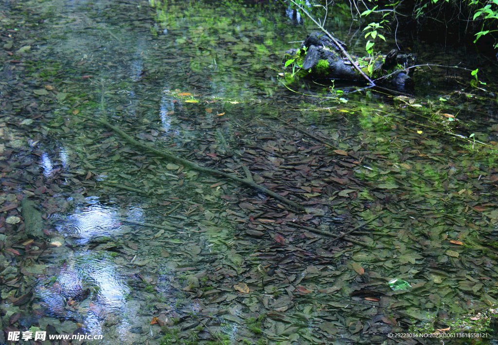 风景   水