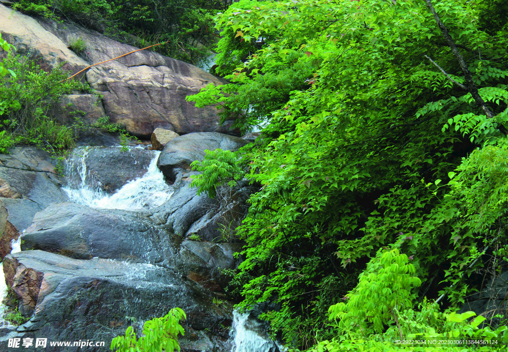 风景  水   树