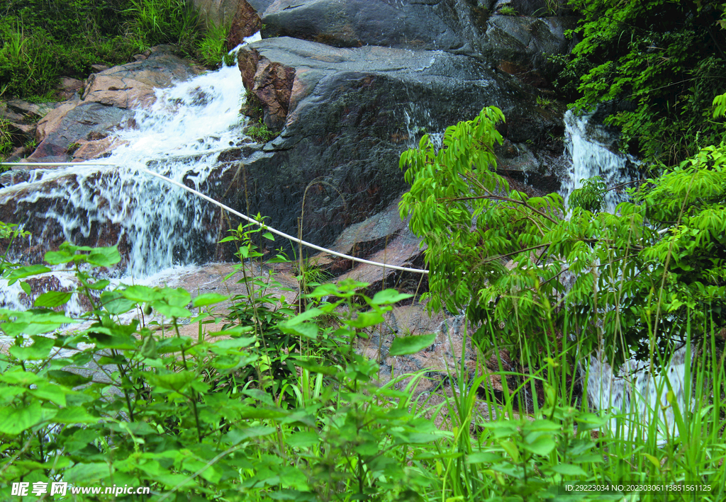 风景   水