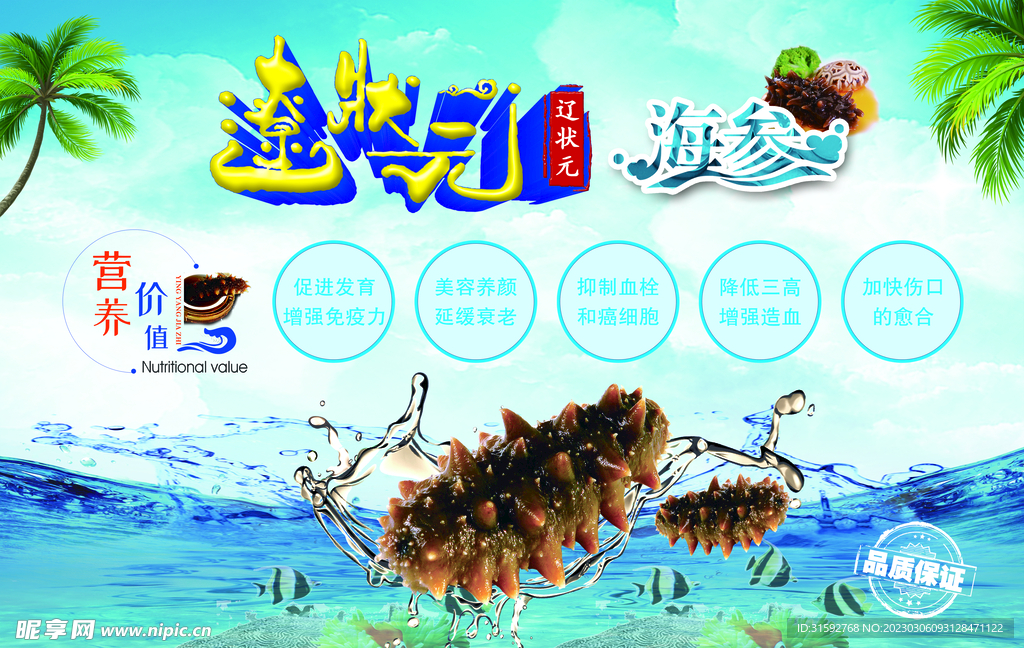 海参