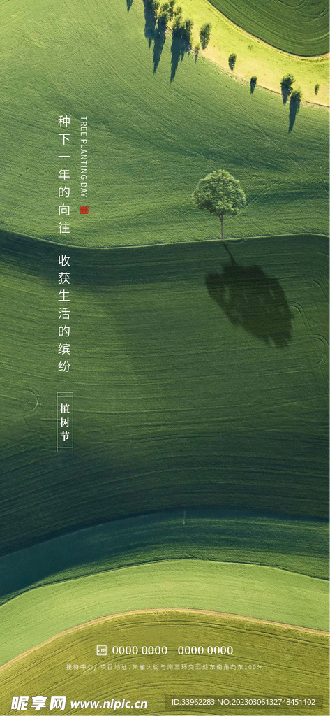 植树节